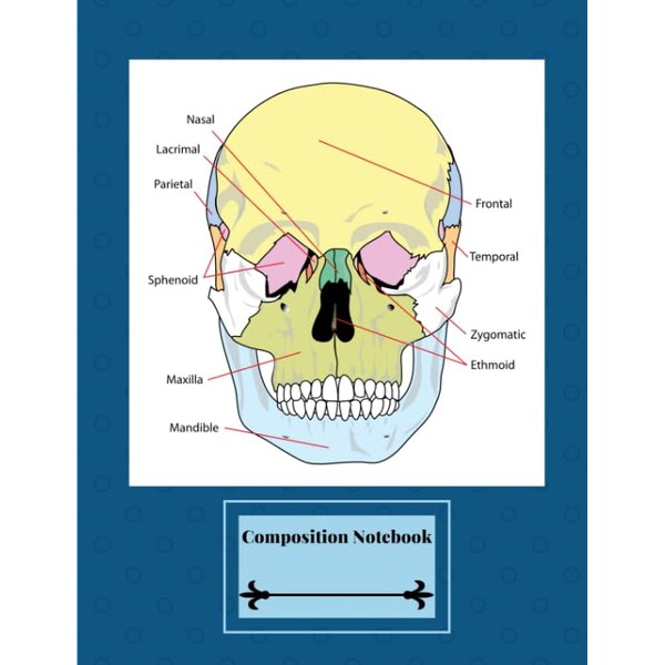 Composition Notebook: Labeled Human Skull Diagram - Facial Bones -