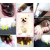 Pet Cat Soft Claw Nail Caps Size S, Pink Glitter