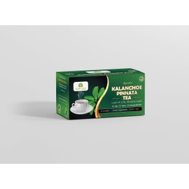 Kalanchoe Pinnata-Leaf of Life (Bryophyllum Pinnatum) Tea. 1 Box. Antioxidantes de Kalanchoe Pinnata-Siempreviva (Bryophyllum Pinnatum).