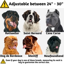 ADITYNA - Heavy Duty Dog Collar with Handle - Royal Blue Dog Collar for Extra-Large Dogs - Reflective, Wide, Thick, and Soft Neoprene Padded (Royal Blue, Extra-Large: Fit 24-30" Neck)