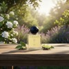 A harmonious scent of bergamot, Earl Gray, and lime [Afternoon