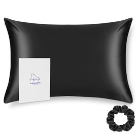 ALASKA BEAR Silk Pillowcase for Hair and Skin Beauty Sleep 100 Real Mulberry Silk Anti-Aging Pillow Slip Case Cover, Queen (1pc, Black)