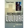 Postmodernist Culture: An Introduction to Theories of the Contemporary