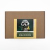 Bergin & Bath Needle Felting Kit, Raccoon - Make a