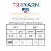 Troyarn Wool 125 (2- Skeins Pack) 100% Superwash Merino Fine