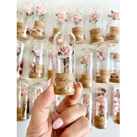 10 pcs Pink Wedding Favors for Guests,Thank You Wedding Favors, Dome Pink Favors, Beauty and the Beast, Quinceanera, Sweet 16, Rose Dome Favors, Blush Bulk Favors Gifts