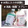 OCEAN PACIFIC(オーシャンパシフィック) ファブリックスプレー (ブーン) サンディーマガジンコラボ 200ml