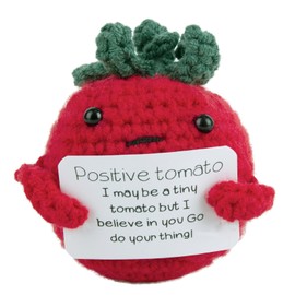 yumcute Positive Gifts, Positive Tomato Good Luck Gifts, New Job Gifts for Best Friend, Wife, Friend with Positive Energy Card