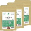 【農薬・化学肥料不使用（JAS認定）】沖縄県産有機モリンガパウダー（30g×3袋）