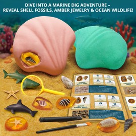 PIBEX Under-The-Sea Dig Kit – Dig & Discover 18 Real Shell Fossils, Amber Jewelry & Sea Animal Creatures – Ocean Necklace Making & STEM Excavation Activity Toy for Kids Ages 6+