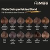 FemMas Haarfarbe Hellblond Kühle Kastanie 8.91 I Professionelle Creme Haarfarbe