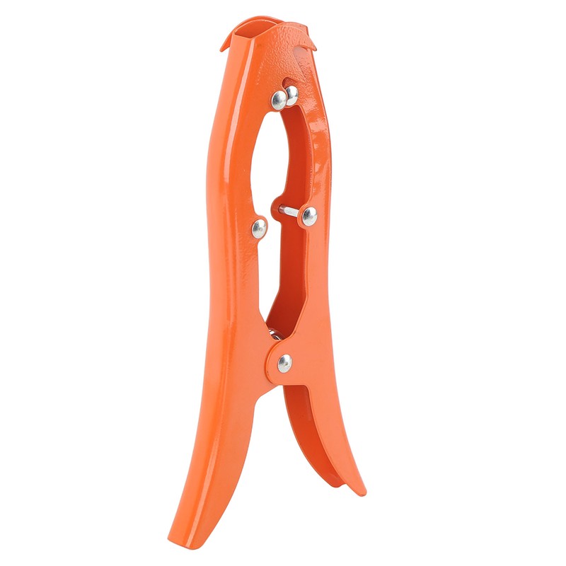 Grip Anchor Stainless Steel Toothed Claw Anchor Clamp Ship Accessory