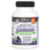 BioSchwartz Sambucus Elderberry Zinc Vitamin C Contains 60 US Domestic, 1 unit, 60 tablets / 바이오슈왈츠 삼부쿠스 엘더베리 아연 비타민C 함유 60 미국내수, 1개, 60정