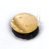 Bathroom Sink Drain without Overflow Brushed Gold, ABS Pop up