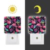 Plug in Night Light with Dusk to Dawn Sensor, Smart