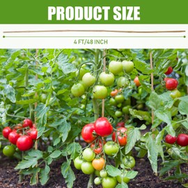 Suzile 60 Bamboo Stakes Bulk, Natural Plant Stakes Bamboo Garden Supports Climbing for Tomatoes, Beans, Vegetable and Potted Plants (48 Inch)