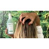 MUSSVITAL Dermactive Sensitive Shampoo for Sensitive Hair, Curculigo for Children