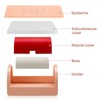 Ultrassist Injection Practice Kit for Nurse, Intradermal & Subcutaneous &