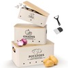 Dekosilave Kitchen Vegetable Storage Set of 3, Metal Onion Garlic