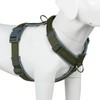 Plutus Pet No Pull Dog Harness, Adjustable Nylon Harness with