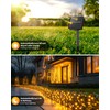Brightown 2 Pack Solar String Lights for Outside, 92Ft 240
