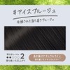 Liese Bubble Color Ice Bruges Hair Color for Black Hair