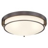 Cargifak 16 inch Flush Mount Ceiling Light, 3-Light Close to