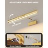 Skairipa 13" Rechargeable Picture Light for Wall with Remote, Gold