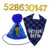WOONEKY 1 Set Dog Birthday Hat Necklace Pet Supplies Hat