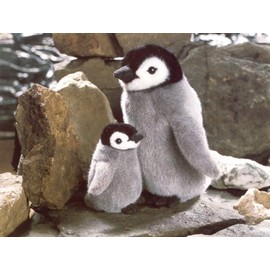 Kosen Emperor Penguin Child