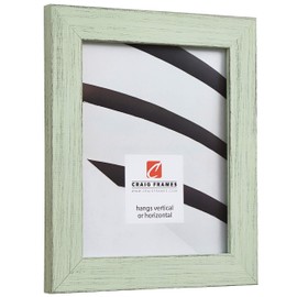 Craig Frames Jasper Picture Frame, 18 x 24 Inch, Country Mint Julep