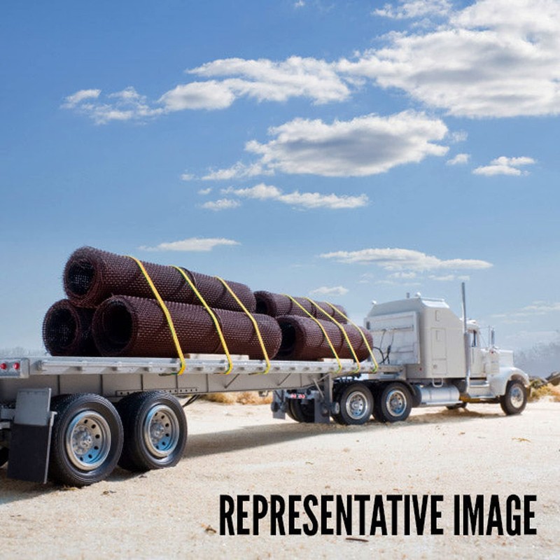 US Cargo Control 4 Inch Winch Strap with D-Ring Fitting,