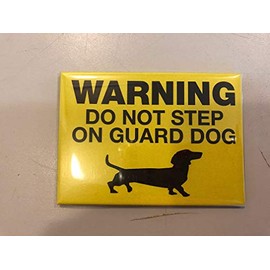 Magnets/Dog Magnet/Dog Lover Gift/Wiener Dog Magnet/Dachshund Magnet/Guard Dog/Daschund Gift/Doxie Gift/Wiener Dog Gift