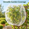 Plant Protection Netting for Fruit Trees & Garden Plants –