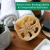 Esponjas 100 Naturales Cuerpo Nuestra Esponja Lufa Natural Está Elaborada