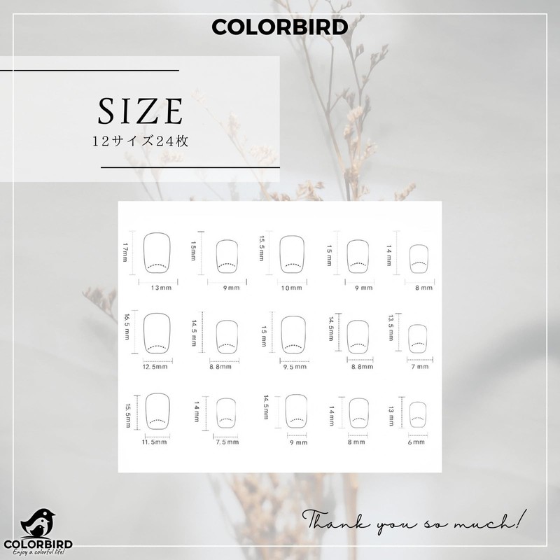 COLORBIRD Short Nail Tips, 24 Pieces, Magnet Nails, Beige, Nail,