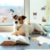 Hotop 36 Pads Cute Dog Sticky Notes Dog Notepads Bulk