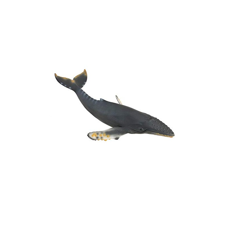 CollectA Humpback Whale