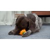 Hyzone Multi-Functional Dog Vocalizing Biting Teething Balls, Outdoor Interactive Teething