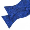 Alizeal Mens 2pcs Paisley Jacquard Self-Tie Bow Tie Pocket Square