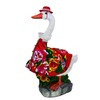 Clerodendrum Goose Outfit Suitable, Suitable for Both of Small and