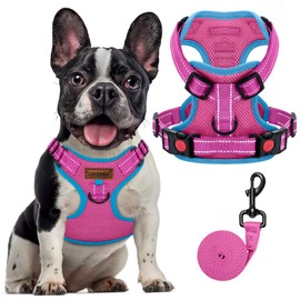 FAYOGOO Dog Harness Medium, No Pull Vest Harness with 2 Clips Training Anti Pull, Adjustable Pet Harness Soft Padded Reflective No Choke with Easy Control Handle for Training or Walking, Pink,XS