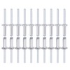 DTGN 6mm x 20mm (DXL) Blind Rivets - 50Pack -