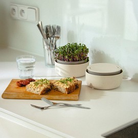 Urbalive Large Germination Tray 16 cm - Cress Propagation Tray for Sprouts, Cress Seeds, Microgreens - Design Cress Sieve Made of High-Quality Plastic - Germination Box Germination Device with Coffee