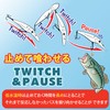 Lucky Craft Baby Shad 50SP Regular Type (0003 Wakasagi)