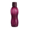 Tupperware Eco Sports - Juego de botella de agua con