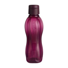 Tupperware Eco Sports - Juego de botella de agua con tapa abatible (1 L y 750 ml)