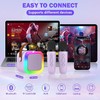 Bluetooth Karaoke Machine with 2 Wireless Mics ‚Äì Family Singing