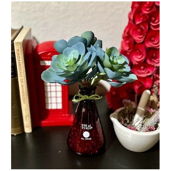 PYREX Artificial Succulent Flower Fake Plant Aeonium Science Teacher Decoration