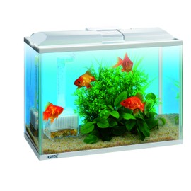 Gex Loca Boy Power Up Pipe